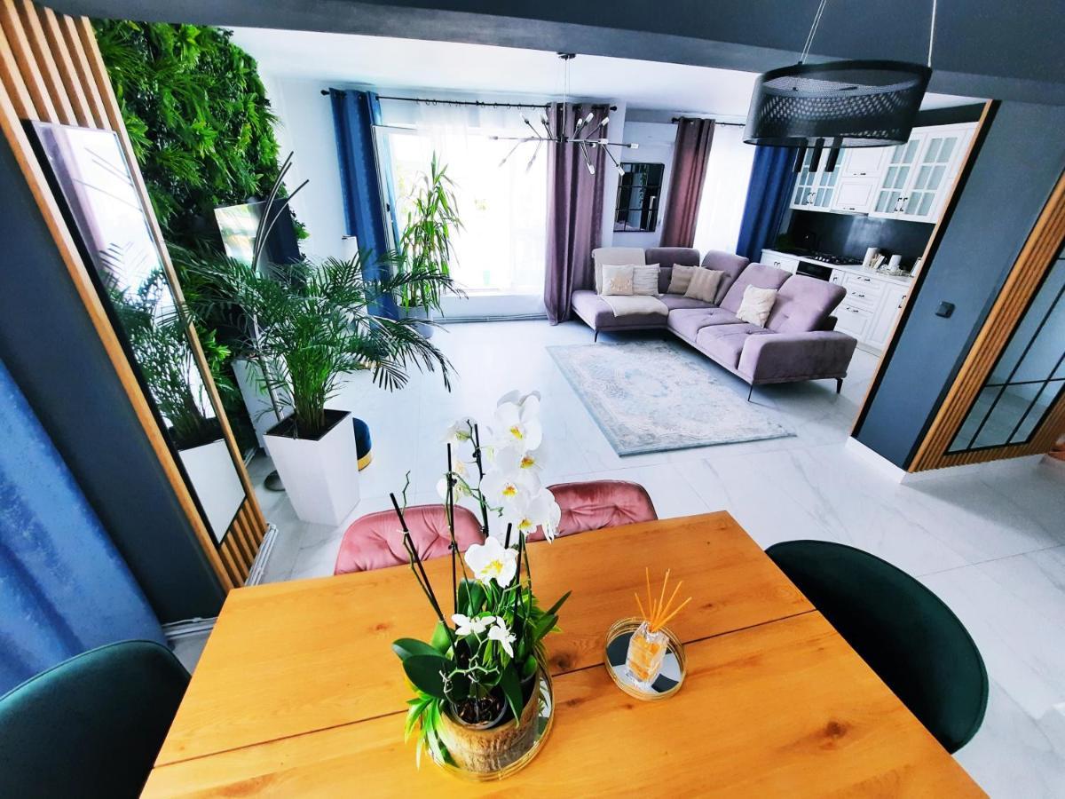Penthouse Aeroport Iasi 아파트 외부 사진