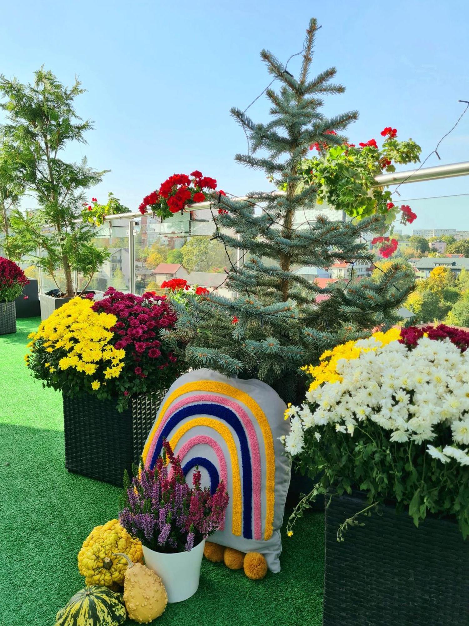 Penthouse Aeroport Iasi 아파트 외부 사진