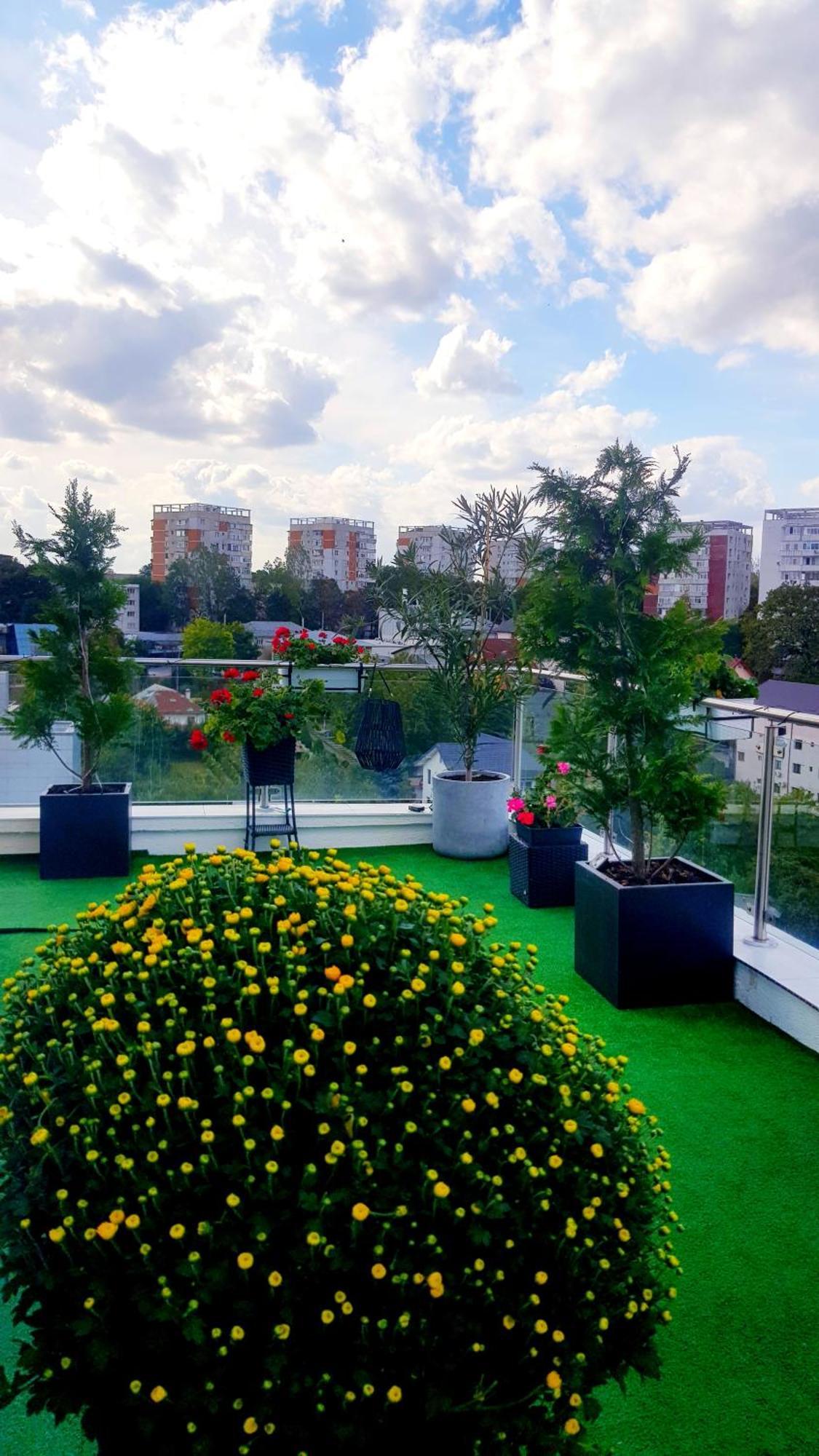 Penthouse Aeroport Iasi 아파트 외부 사진